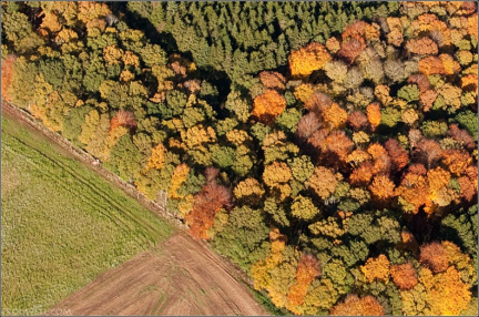 Autumn colours from the air near Stirling